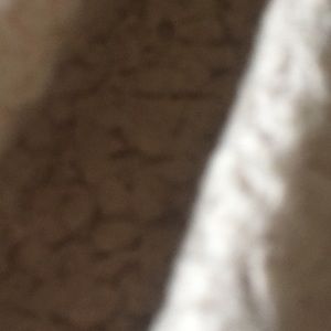 Meet your Posher, Sam